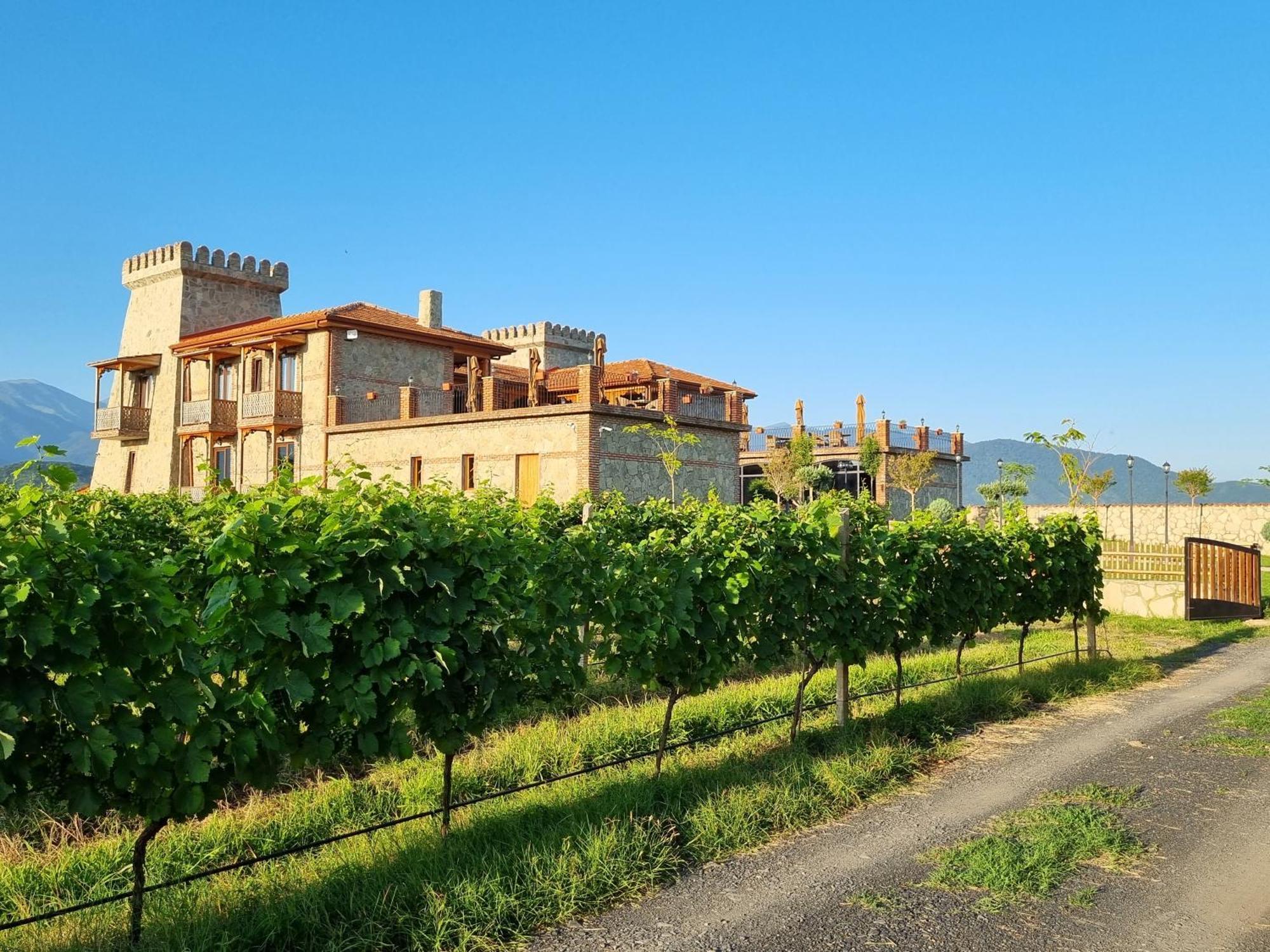 Chateau Davitiani Shilda Exterior photo